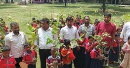 পোরশায় শিক্ষার্থীদের মাঝে গাছের চারা বিতরণ